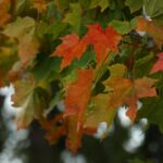 Your Inner Seasons Matter Too
